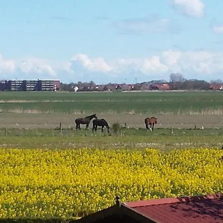 شقة Haus Seestern دورنوميرسيال